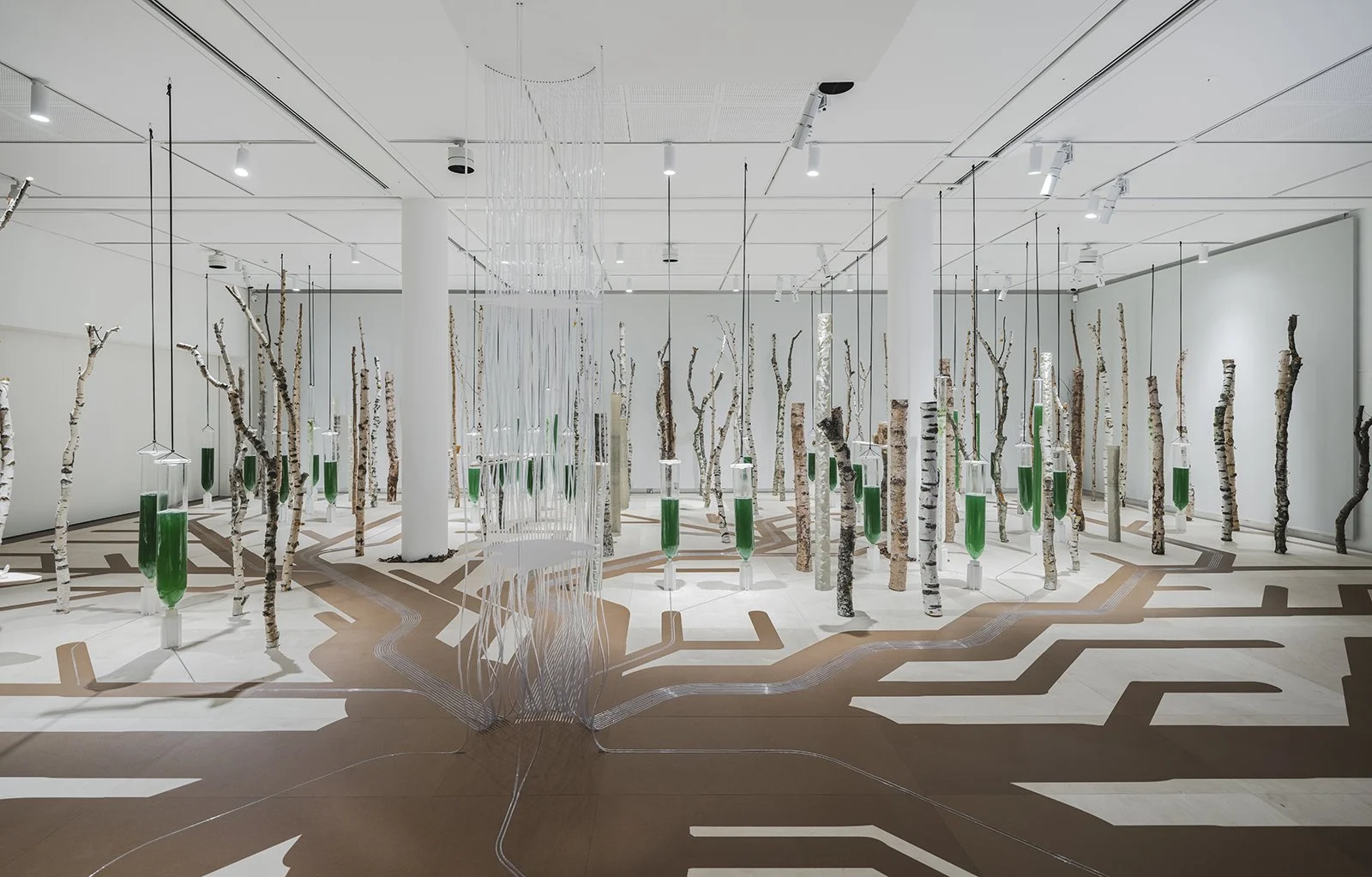 2_ecoLogicStudio_Deep+Forest+